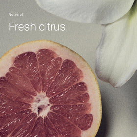 Living Proof label close-up highlighting key cleaning and scent features