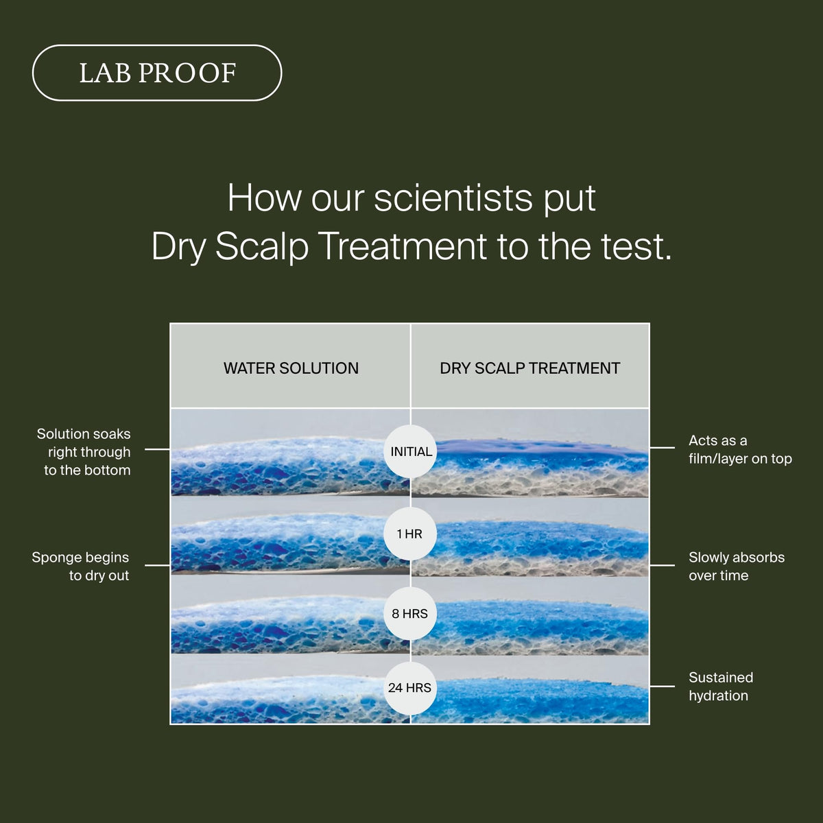 Living Proof label ingredients closeup highlighting key actives that support scalp hydration