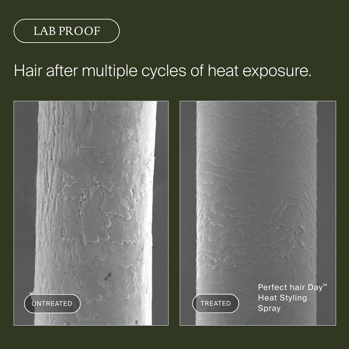 Living Proof styled hair lifestyle image showing polished frizz-free look