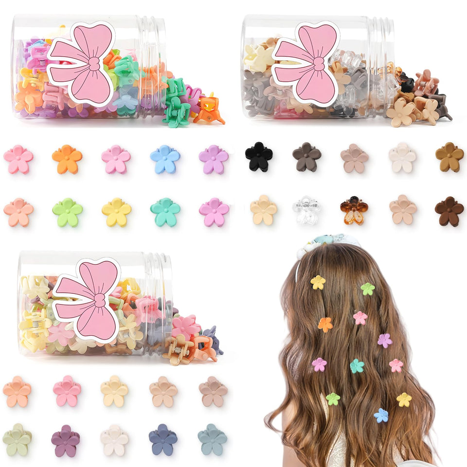 Lizioo front packaging showing 150 colorful flower clips, organized and gift-ready