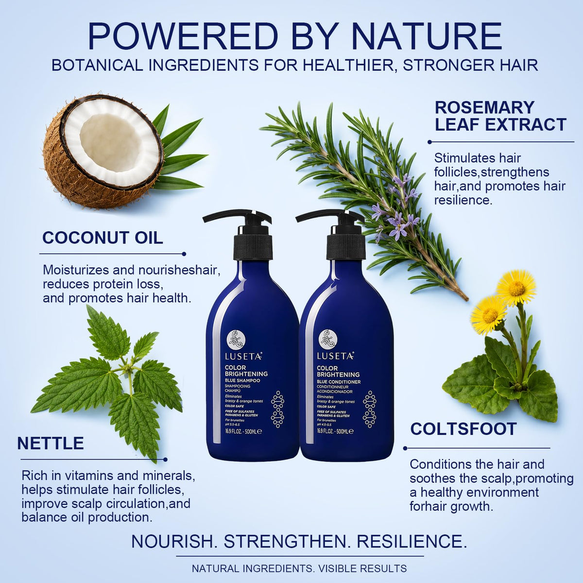 L LUSETA blue shampoo foaming on hair to visibly reduce brassiness