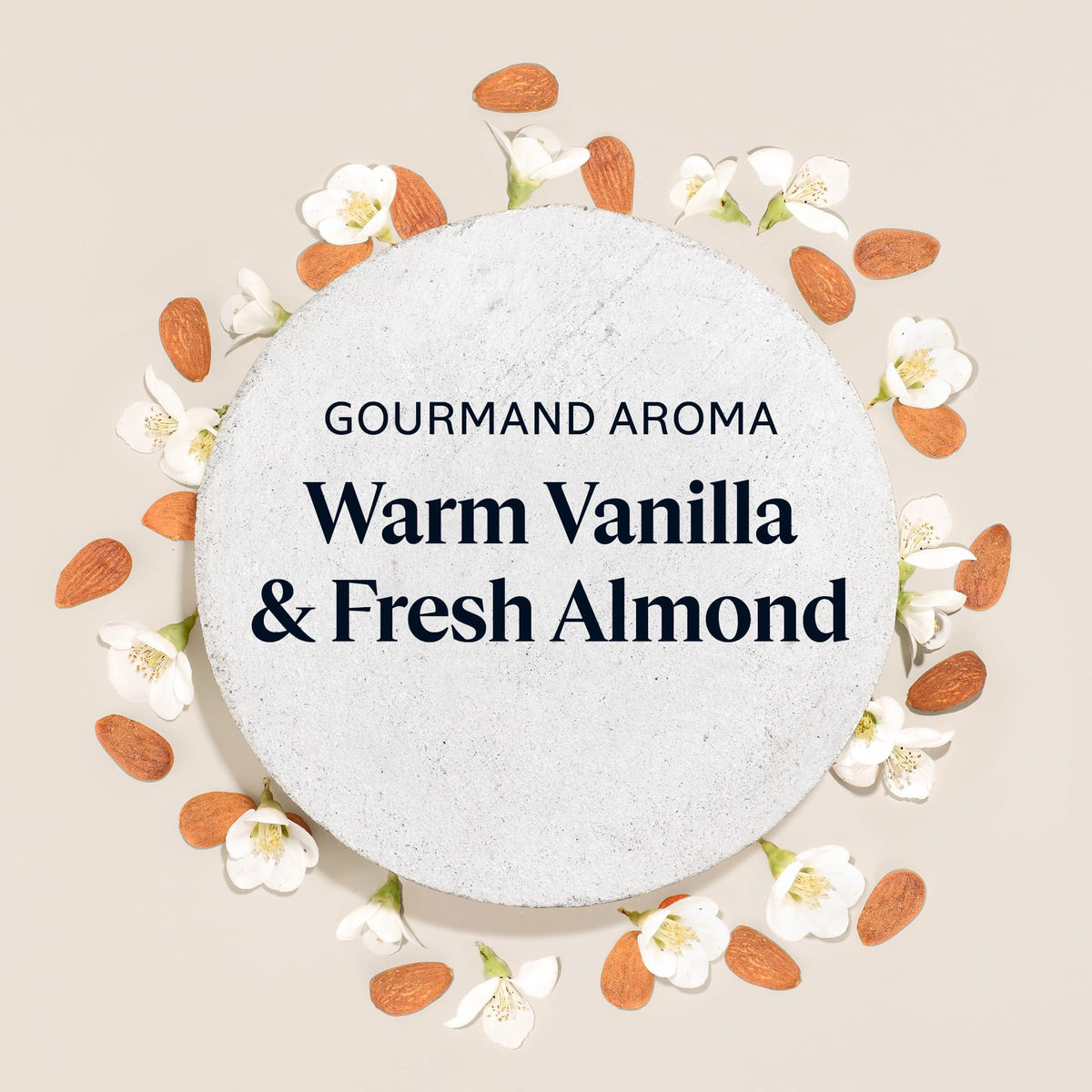 L'OCCITANE ingredients display with almonds and oil showing nourishing almond oil benefit