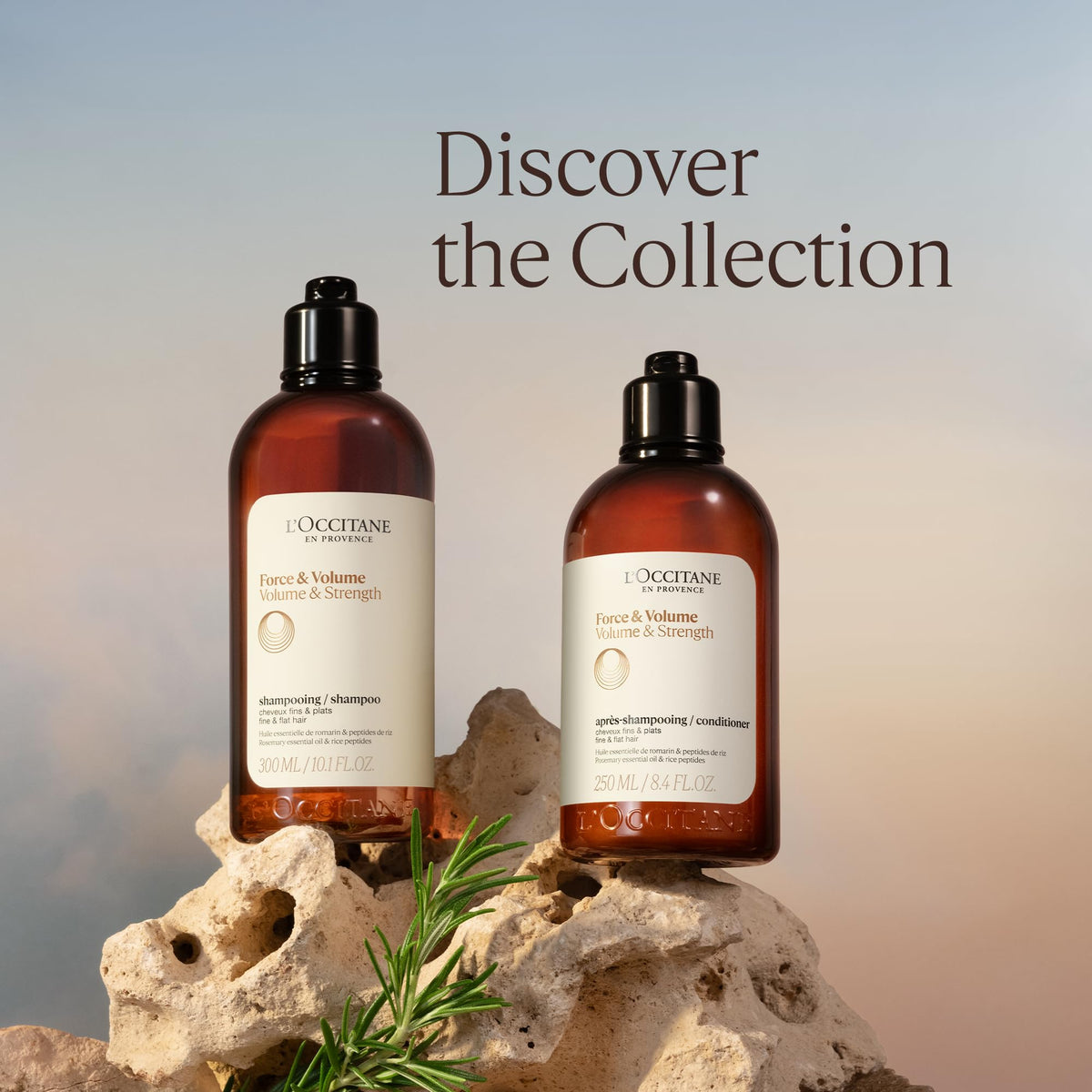 L'OCCITANE ingredients display rosemary and vegetal keratin for strength