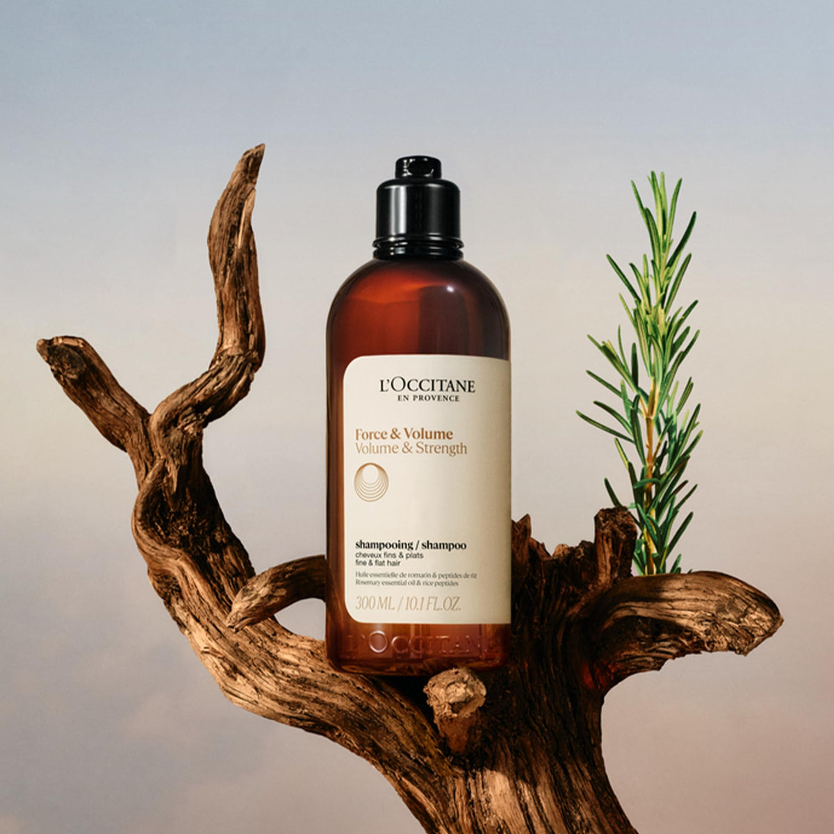 L'OCCITANE label and pump close-up highlighting product details and ease