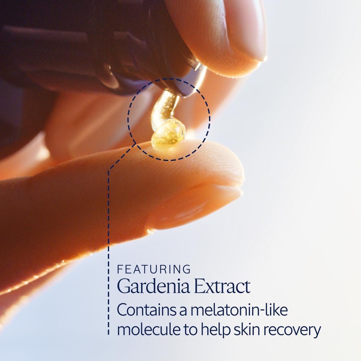 L'OCCITANE Immortelle silky oil-in-serum texture highlighting smooth absorption