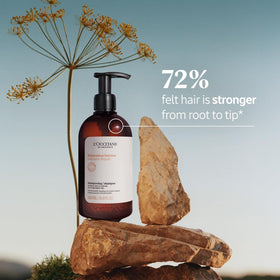 L'Occitane label close-up on Intensive Repair Shampoo highlighting key ingredients