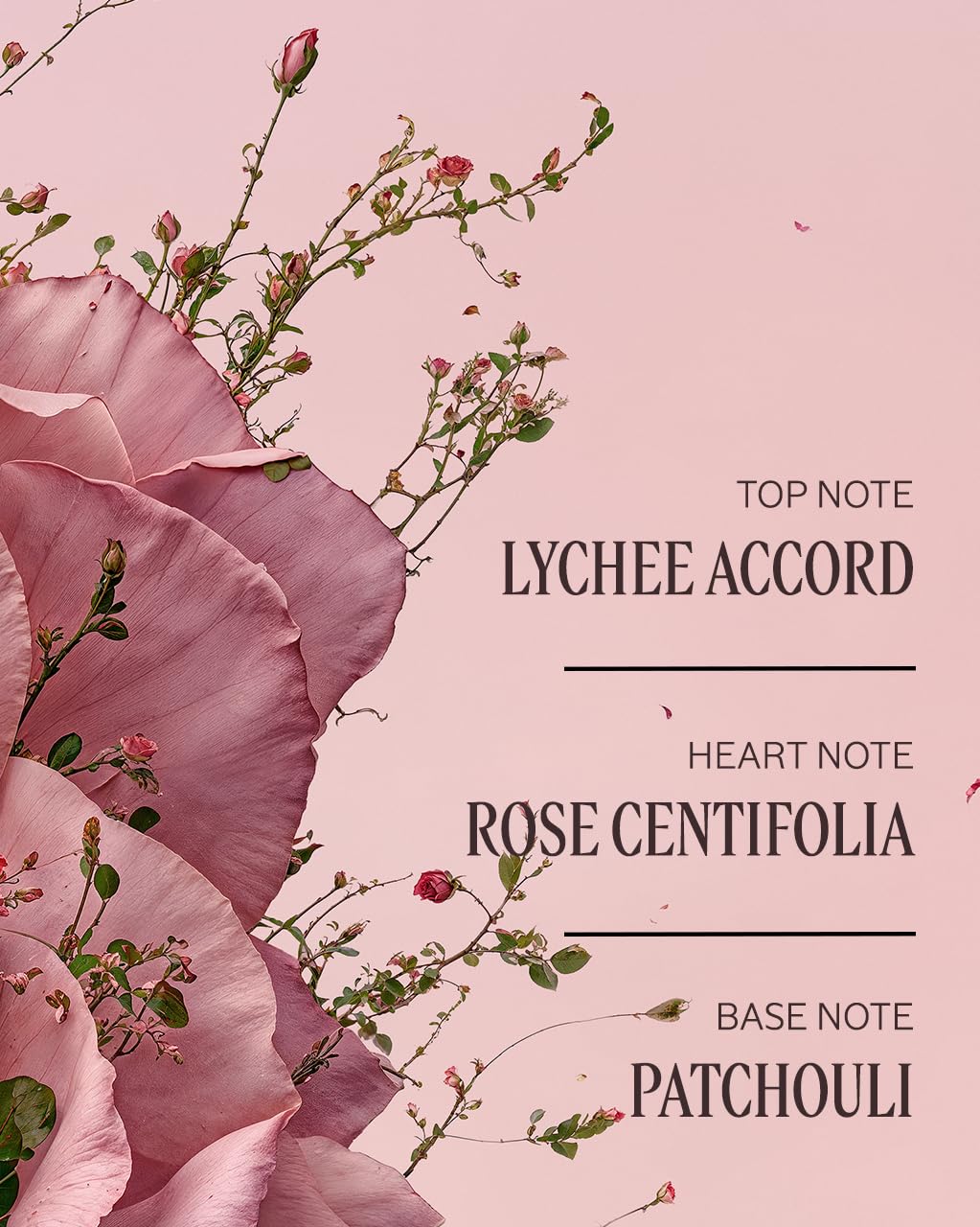 L'Occitane Rosa Centifolia floral water close-up highlighting natural fragrance source benefit