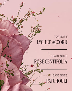 L'Occitane Rosa Centifolia floral water close-up highlighting natural fragrance source benefit
