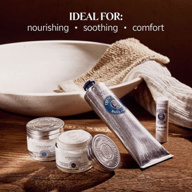 L'Occitane shea nuts ingredient shot emphasizing natural shea butter nourishment