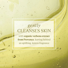 L'OCCITANE gel in hand producing foam for an invigorating cleanse