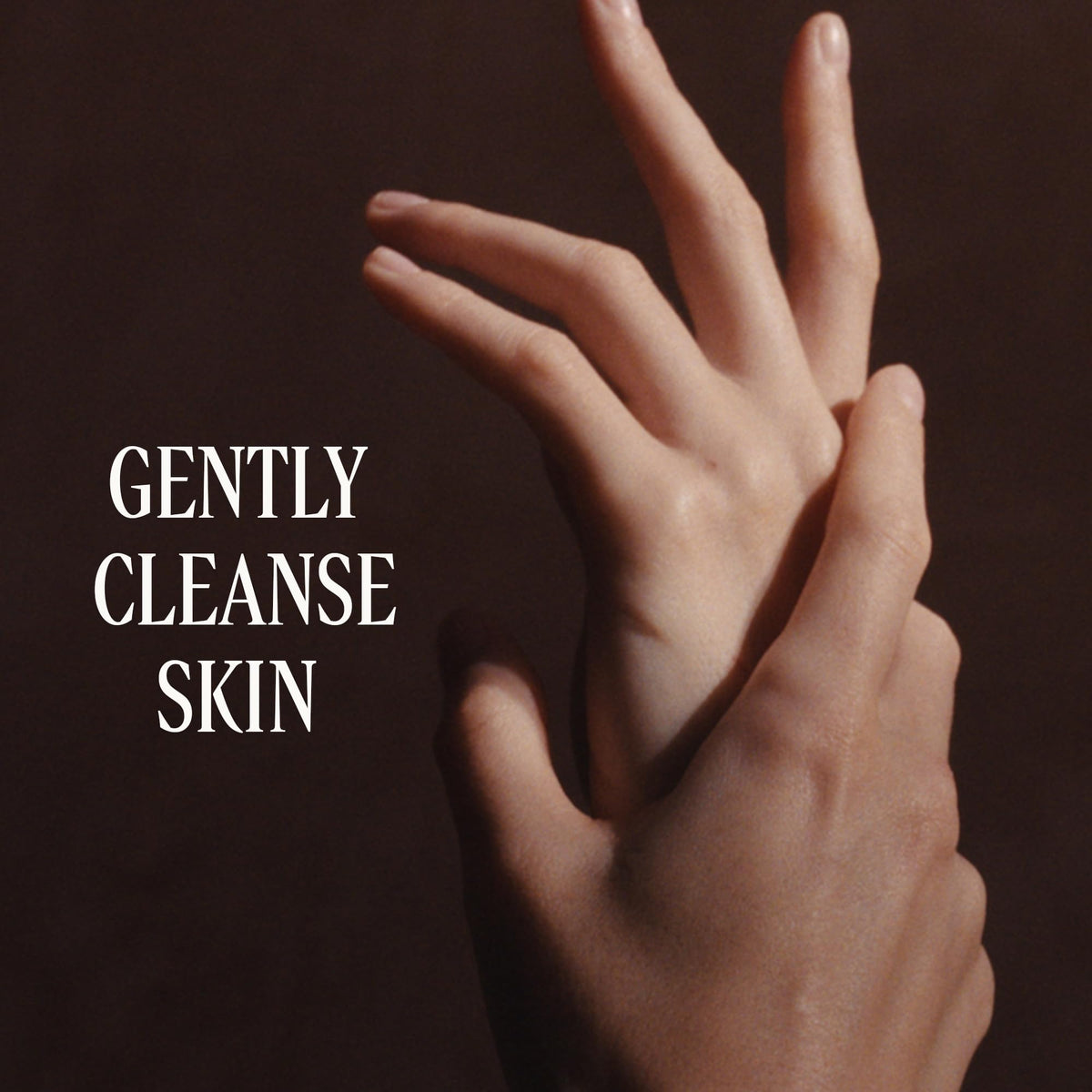L'OCCITANE rich lather on hand demonstrating gentle foaming action