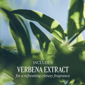 L'OCCITANE shea ingredient visual illustrating nourishing extract