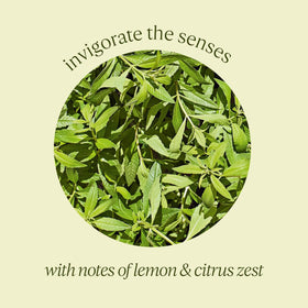 L'OCCITANE ingredients label close-up showing essential oils