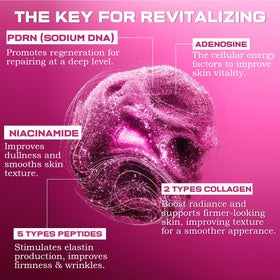 Lollsea ingredients label highlighting PDRN, peptides and niacinamide for repair