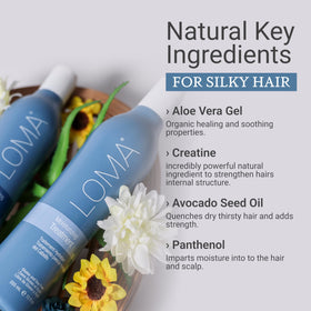Loma shampoo foam texture on palm showing gentle lather and moisturizing performance