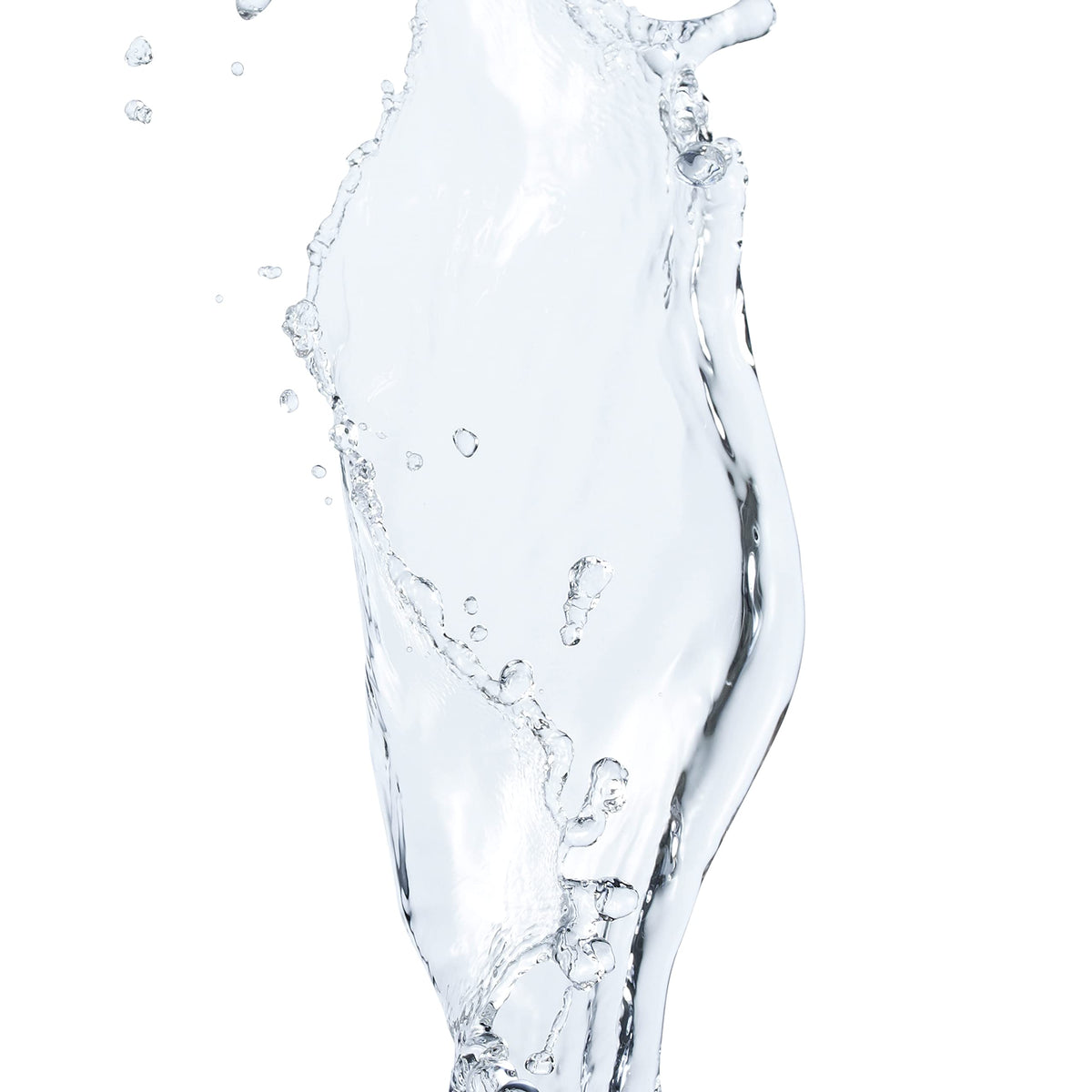 L'Oréal Paris shampoo in use lathering on curly hair, helps remove buildup while preserving moisture