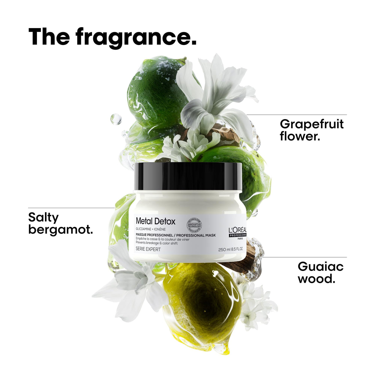 L'Oréal Professionnel Paris jar next to hand showing product size and scale
