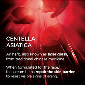 L'Oreal Paris Cicacream dabbed on hand demonstrating easy spreadability and quick layering