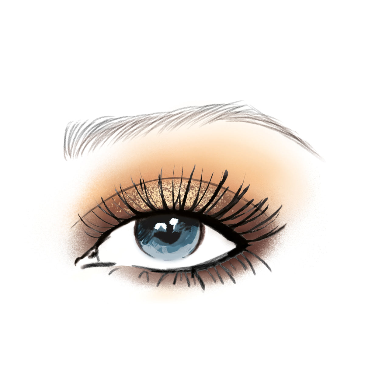 L'Oreal Paris open palette overhead showing twelve warm shades clearly