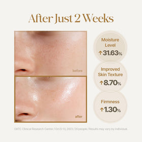 LULUBEU ingredients close-up highlighting camellia and argan benefits