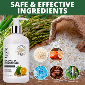 Luv Me Care botanical ingredients flatlay highlighting plant-based extracts