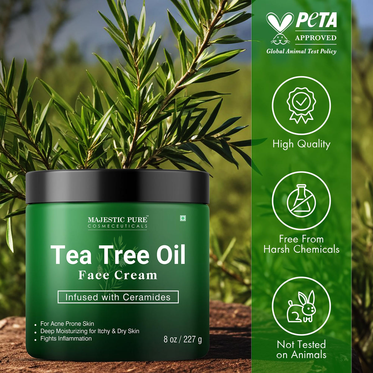 Majestic Pure 8 oz tub beside common objects for scale and value reference