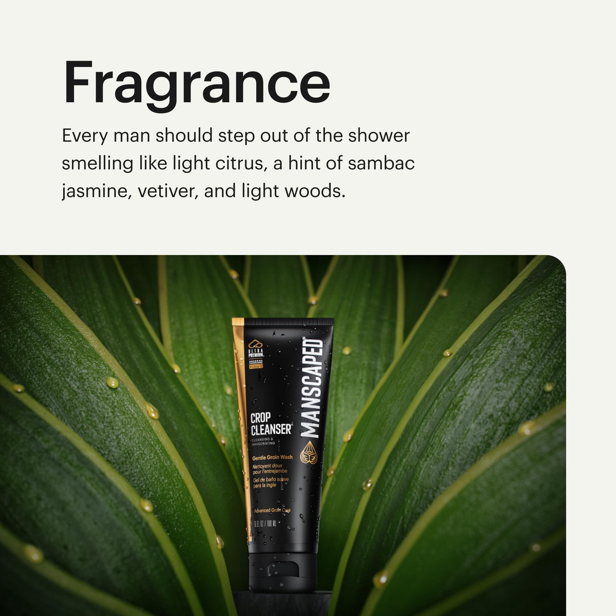 MANSCAPED aloe leaf visual illustrating soothing hydration benefit