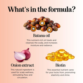 Maple Holistics close-up label with ingredient list and clean formula