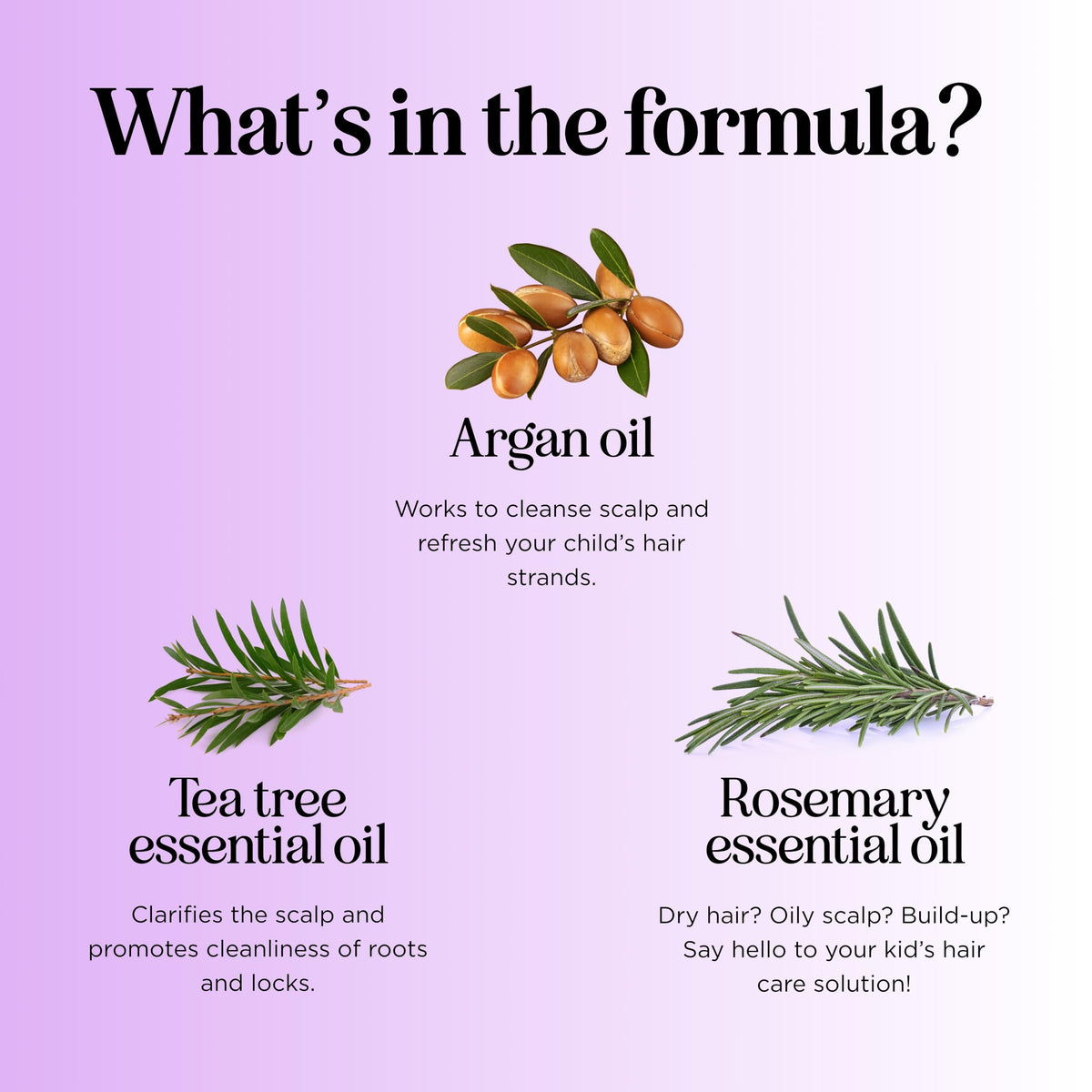 Maple Holistics bottle label close-up, displays ingredient list and transparency benefit