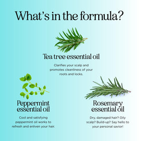Maple Holistics tea tree oil drops emphasizing clarifying scalp support
