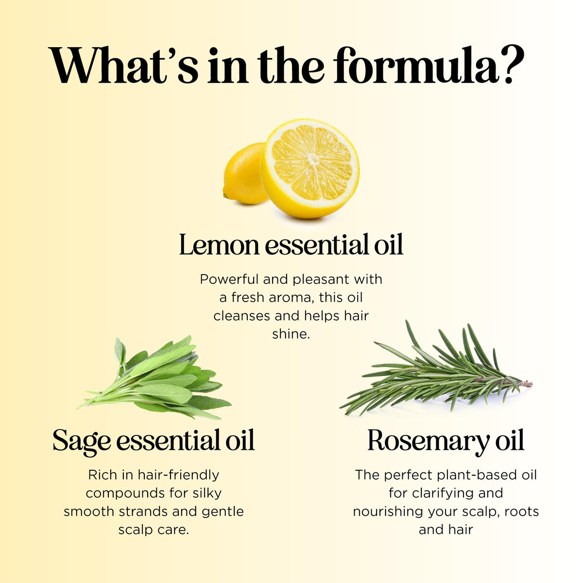 Maple Holistics in-shower use on wet hair showing clarifying action