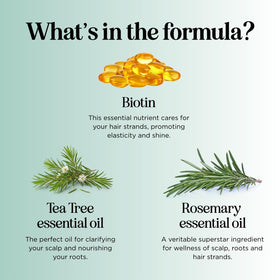 Maple Holistics rosemary oil ingredient bottle illustrating botanical benefits for hair