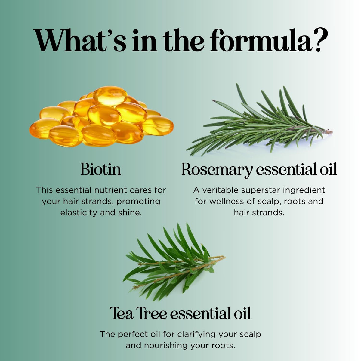 Maple Holistics rosemary tea tree and coconut oil ingredients highlighting botanical nourishment
