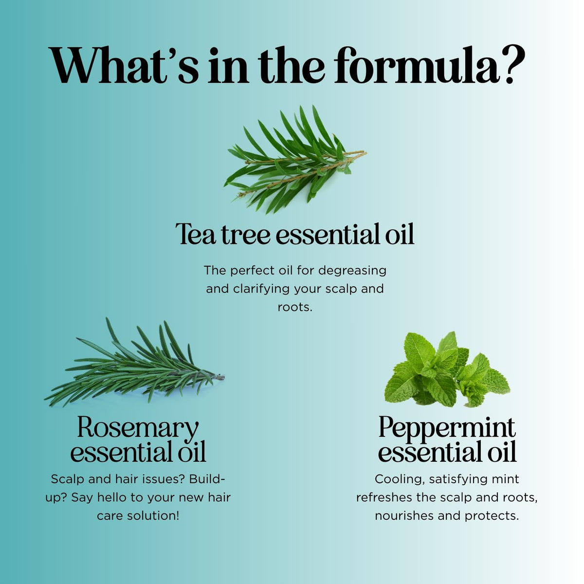 Maple Holistics lather on hair demonstrating effective buildup removal and softness