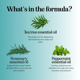 Maple Holistics lather on hair demonstrating effective buildup removal and softness
