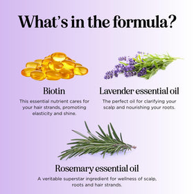 Maple Holistics oils ingredients display of argan, jojoba, rosemary