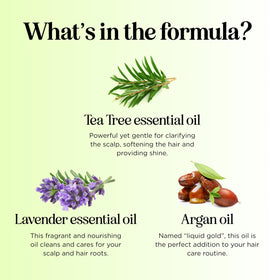 Maple Holistics lather in hand showing effective buildup removal