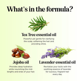 Maple Holistics hair after use showing smoother, less-frizzy finish