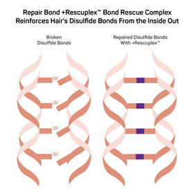 Marc Anthony full Repair Bond system arranged to show matching shampoo, conditioner, mask and leave-in
