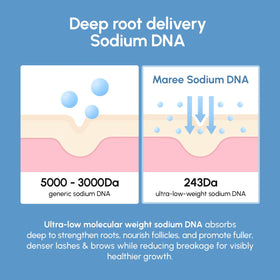 MAREE ingredient layout showing castor oil, peptides and sodium DNA for conditioning benefit