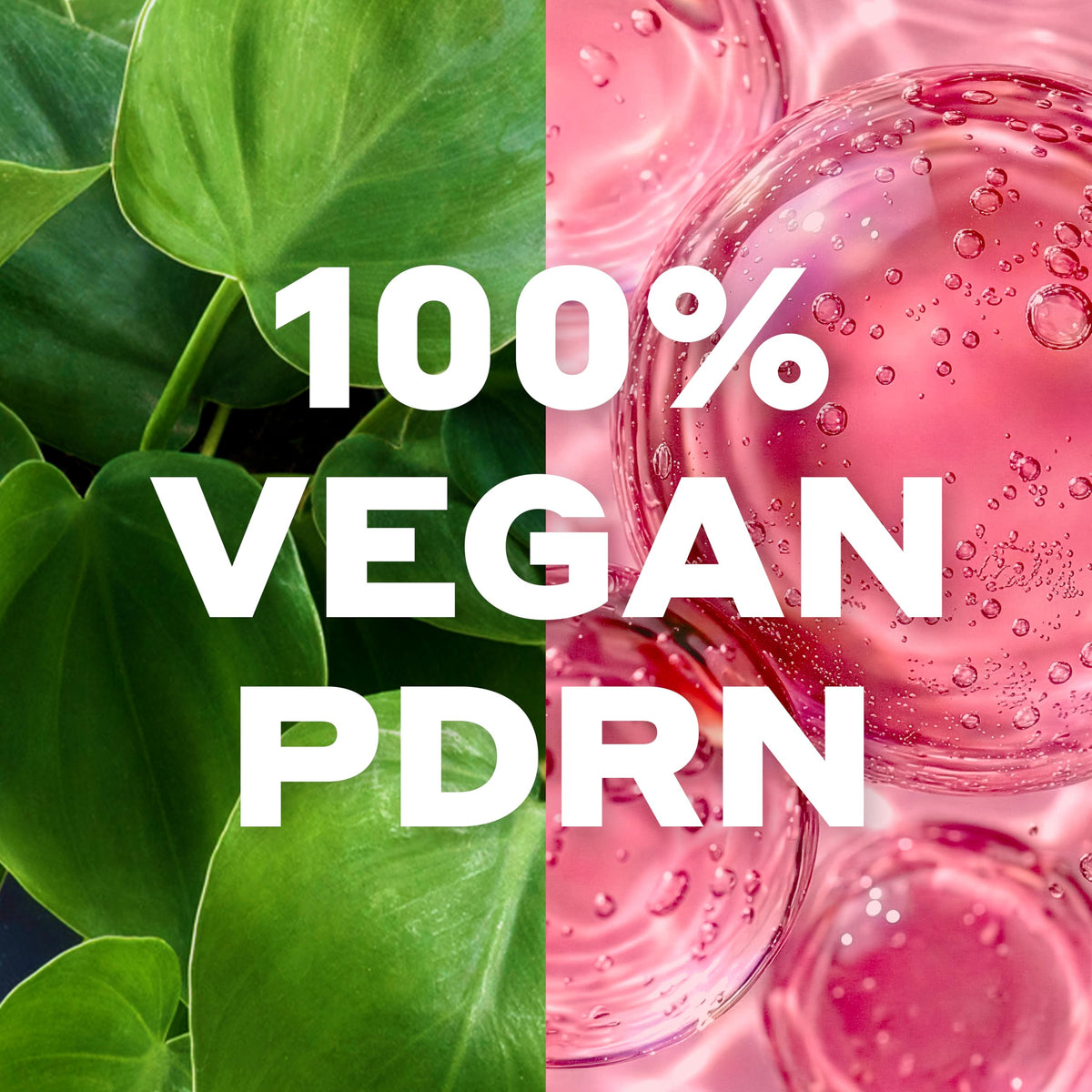 Heartleaf plant close-up representing Mario Badescu vegan PDRN plant-derived benefit