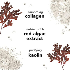 Mario Badescu red algae extract close-up highlighting nourishing ingredient for hydrated skin
