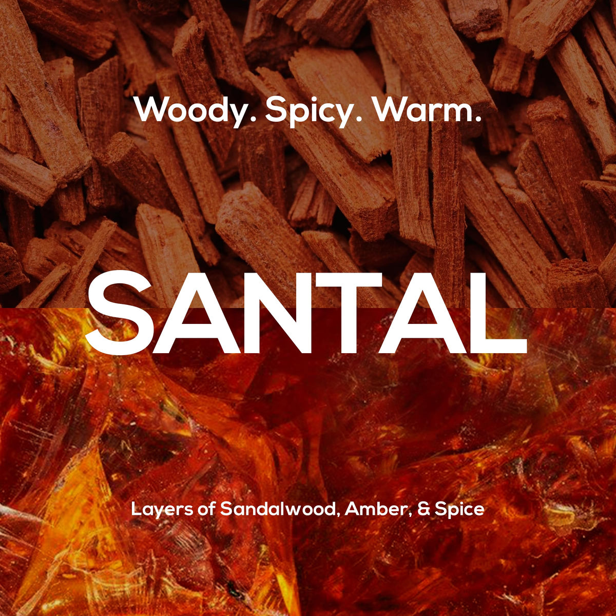 MARLOWE. sandalwood and citron scent notes displayed for warm freshness