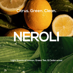 MARLOWE. ingredient layout with avocado oil and pumice benefits