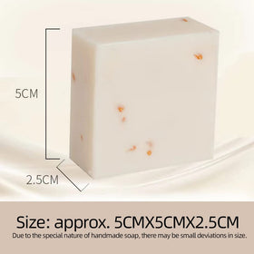 Maruomiki rich foam on palm demonstrating gentle cleansing and soft lather