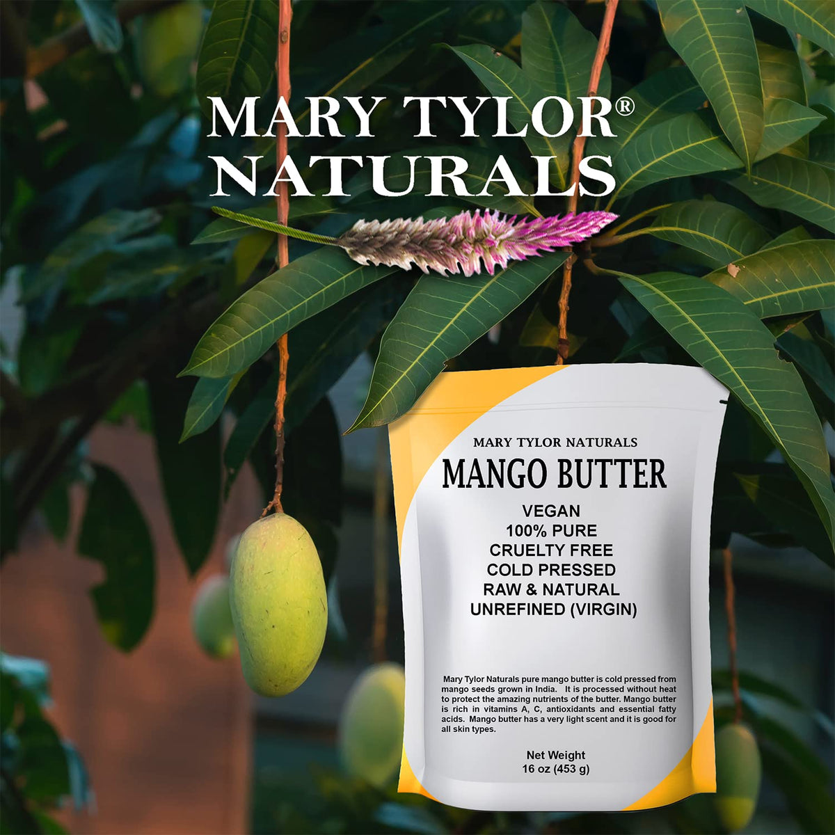 Mary Tylor Naturals spoon scooping mango butter demonstrating easy melting and use