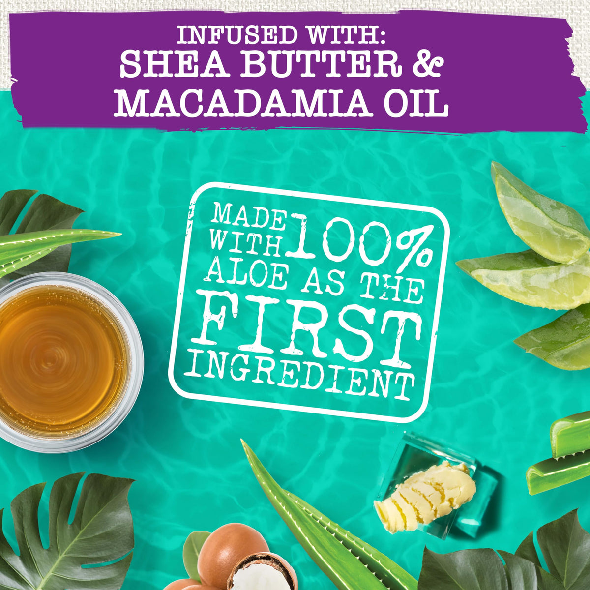 Maui Moisture ingredients display with aloe and shea for hydration