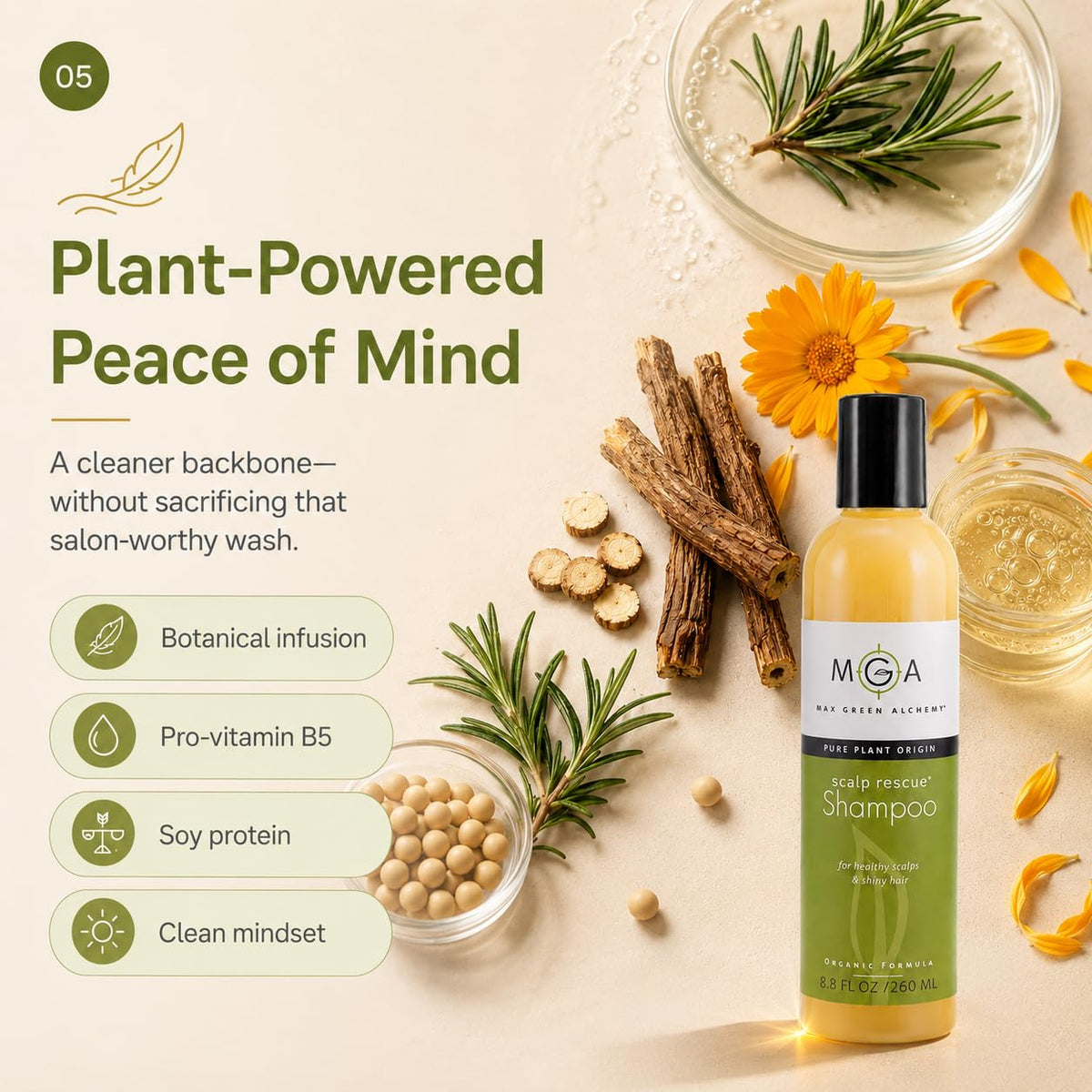 Max Green Alchemy arranged botanicals illustrating natural ingredient support