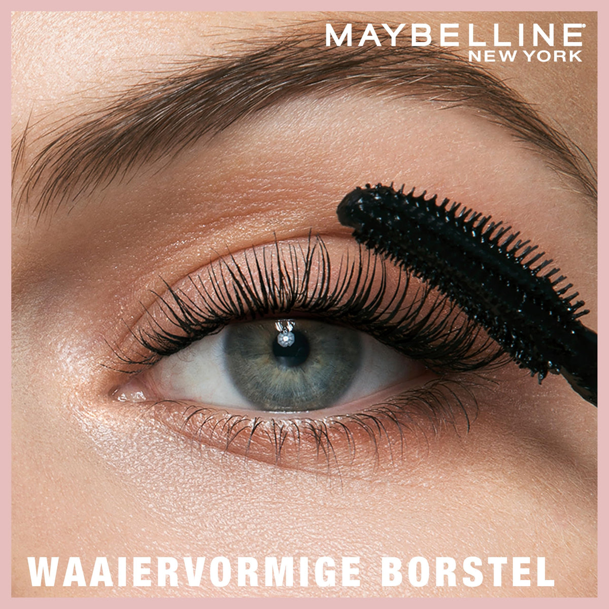 MAYBELLINE product packaging label visible with ingredient panel for informed buyers