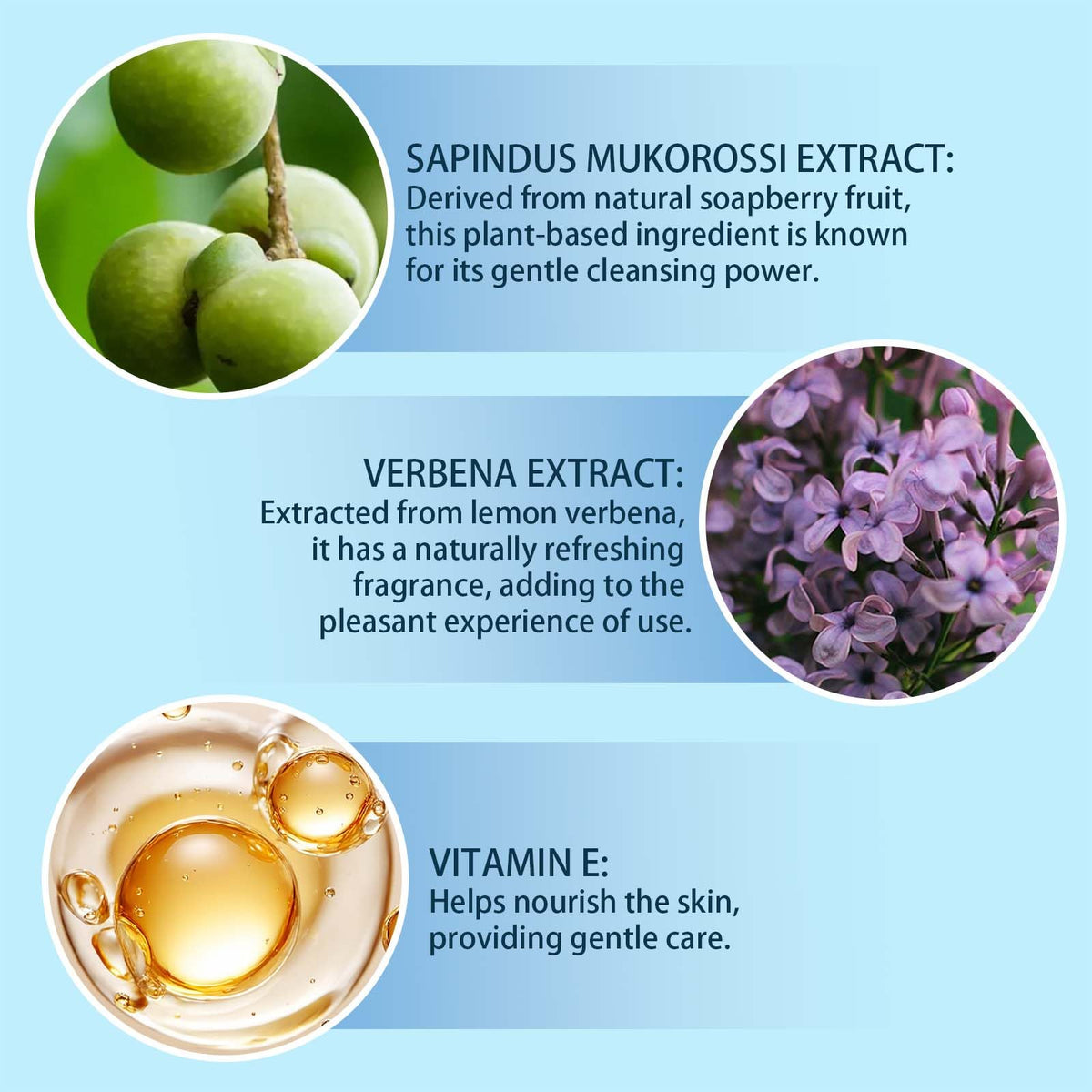 MAYLOR plant extracts flatlay highlighting natural, plant-based formula